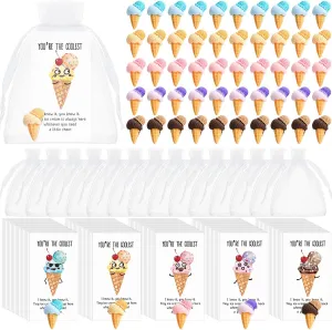 100 Set Ice Cream Party Favors Cute Resin Ice Cream Goodie Bags Birthday Party Decorations with You're the Coolest Card and Organza Gifts Bags for Appreciation Gifts