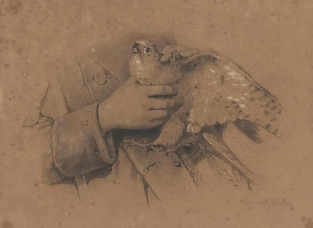 August Allebé 48x35 Huge Gallery Wrapped Canvas Museum Art Print Titled: Kestrel Caught in Hands (1852)