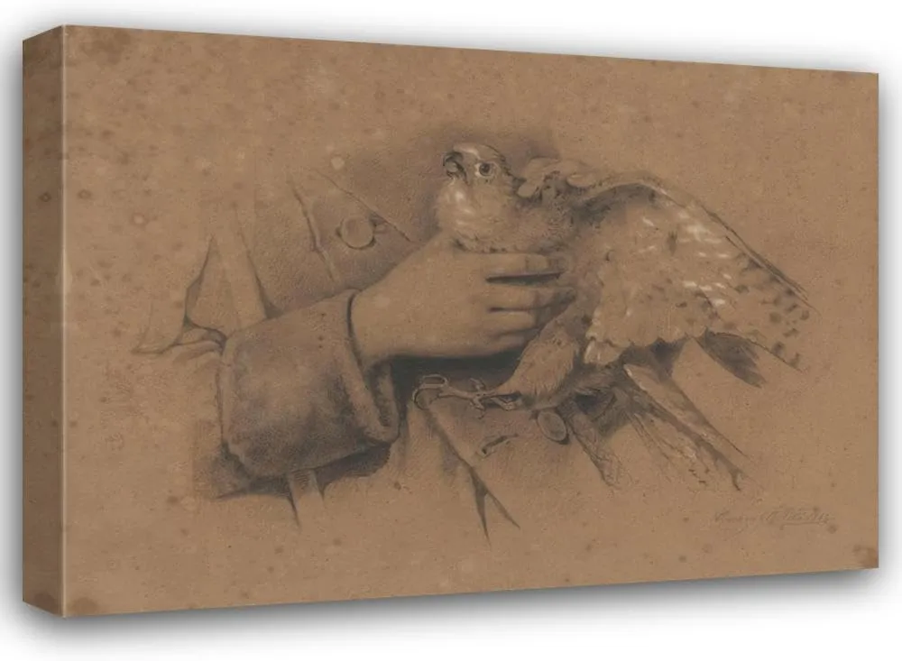 August Allebé 48x35 Huge Gallery Wrapped Canvas Museum Art Print Titled: Kestrel Caught in Hands (1852)