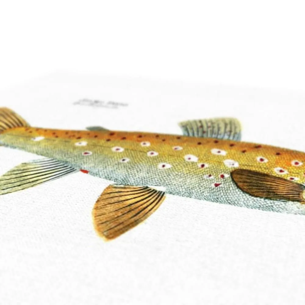 Brown Trout - Vintage Canvas