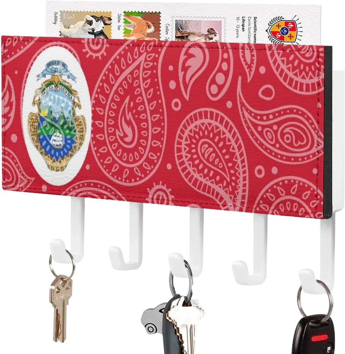 Costa-Ri-ca Flag Paisley Pattern Novelty Key Holder Funny Keys Hook Mail Organizer Hanging Rack Decor with 5 Hooks for Wall