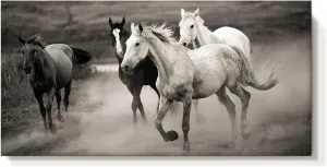 cozy country Horses Canvas Wall Art Decor: Western Farmhouse Ponies Gray Picture Vintage Rustic Painting Wild Animals Running in the Vast Grassland Artwork for Living Room 48" x 24"
