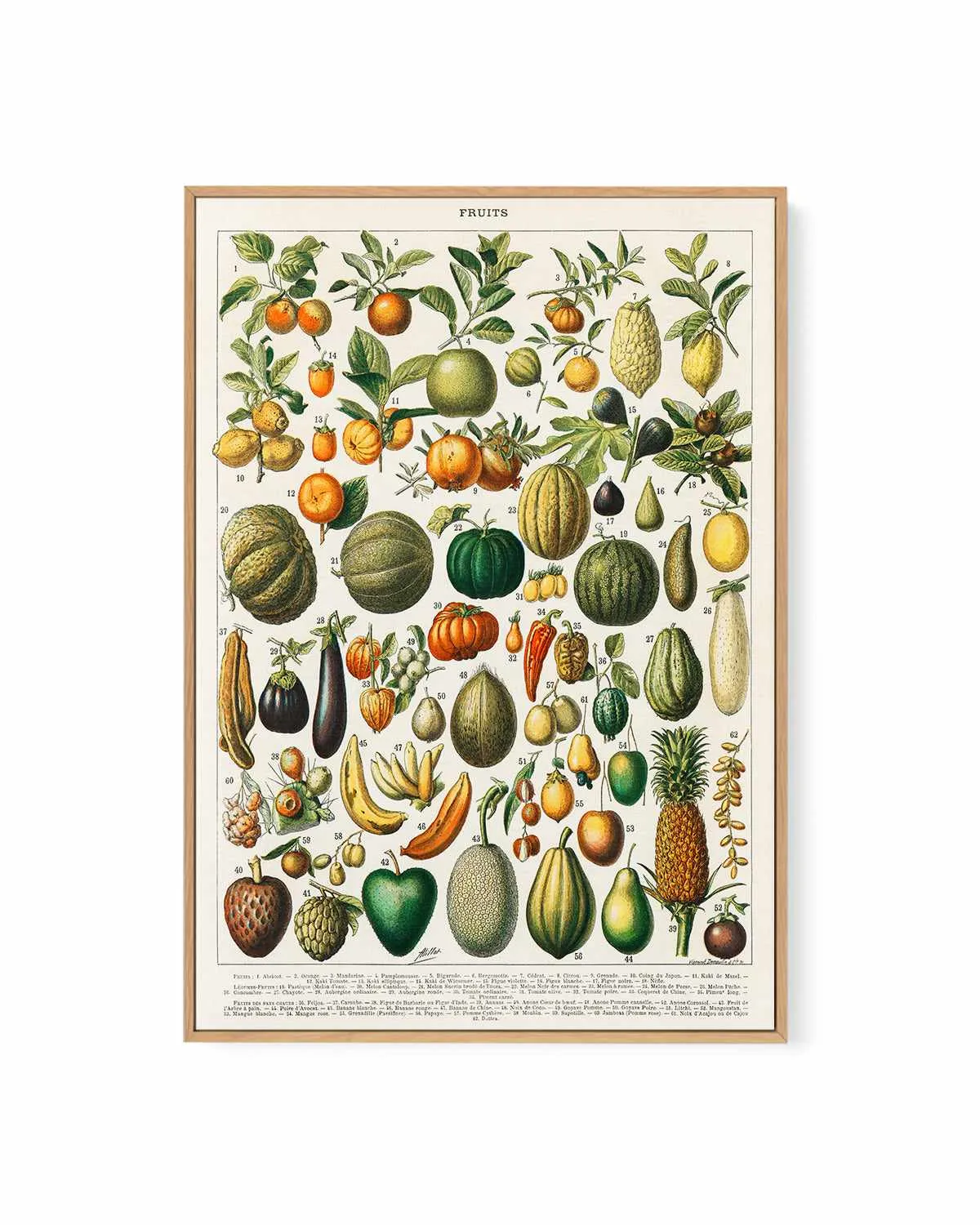 Fruit Chart Vintage Poster | Framed Canvas Art Print