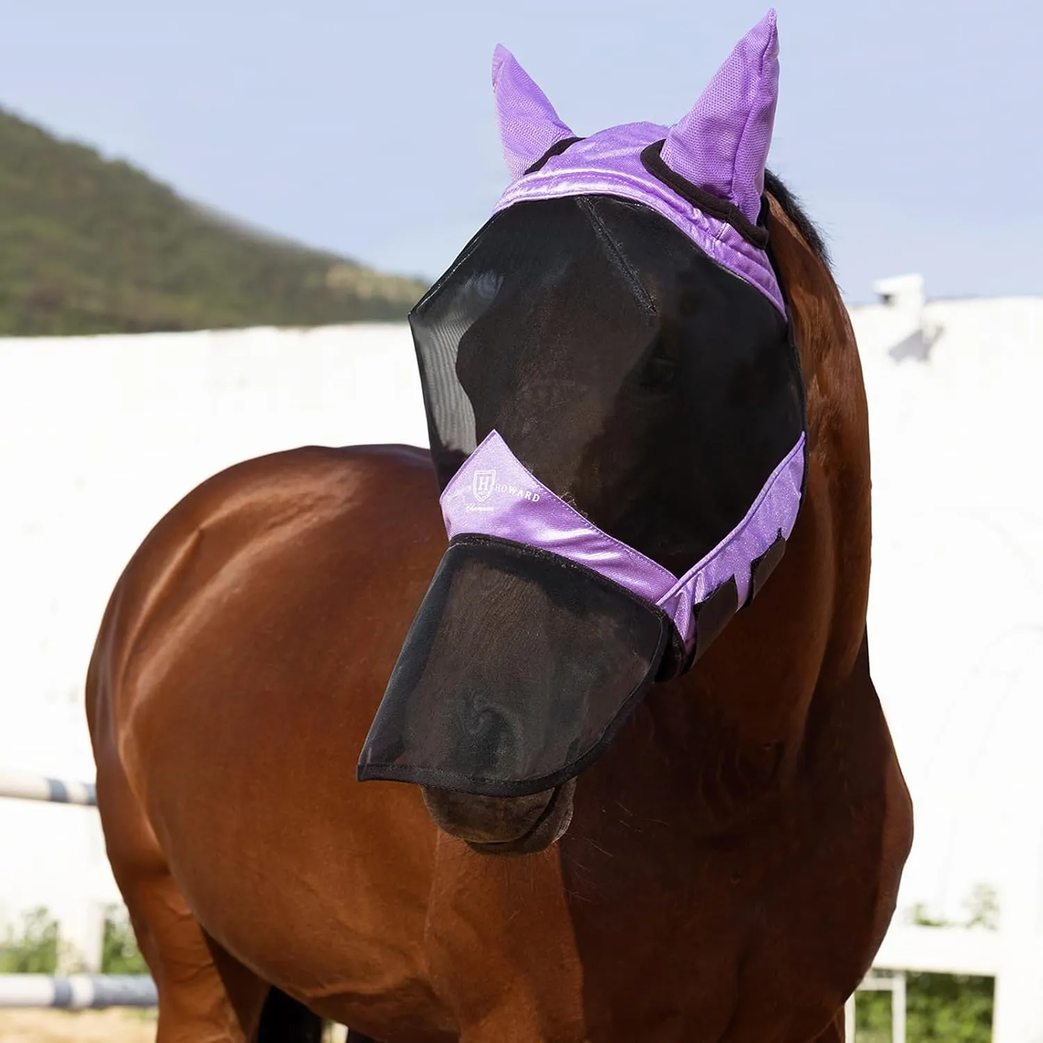 Harrison Howard Pro Luminous Horse Full Face Fly Mask Large Eye Space Long Nose with Ears UV Protection for Horse Gentle Lavendar M