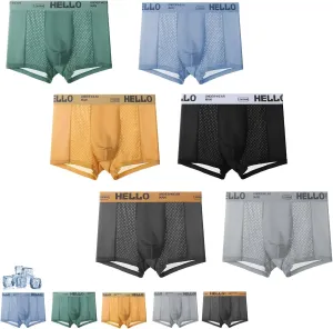 Hello Mesh Mens Underwear, Low Rise Boxer Briefs for Men, Ultra-Thin Panties, Mens Breathable Trunks