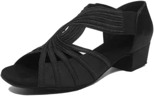 HIPPOSEUS Women Low Heel Latin Ballroom Dance Shoes Indoor Salsa Batchata Practice Dancing Shoes