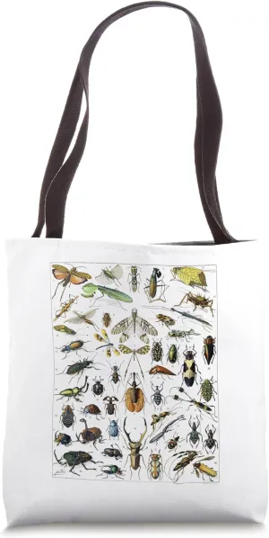 Insects Collection Species Bugs vintage Chart Entomology Tote Bag
