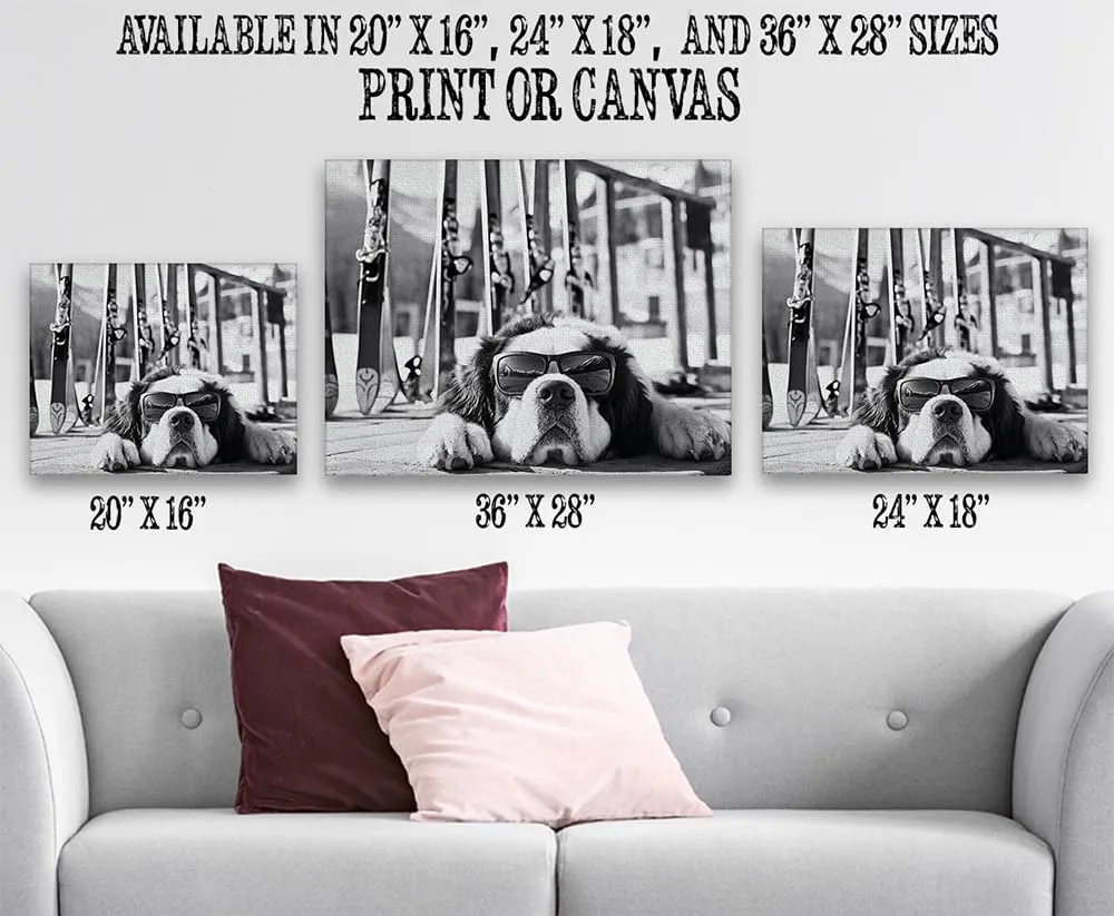 It Was a Long Run St. Bernard with Sunglasses Wall Art Ski Photo 16x20 Stretched Canvas Poster – Black & White Dog Ski Resort Print, Winter Sports Skiing Photography, Alpine Vacation Lodge Pet Décor