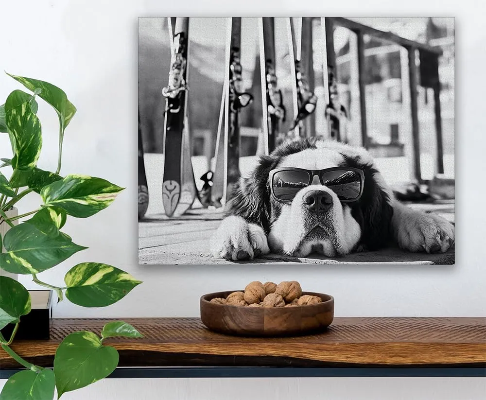 It Was a Long Run St. Bernard with Sunglasses Wall Art Ski Photo 16x20 Stretched Canvas Poster – Black & White Dog Ski Resort Print, Winter Sports Skiing Photography, Alpine Vacation Lodge Pet Décor