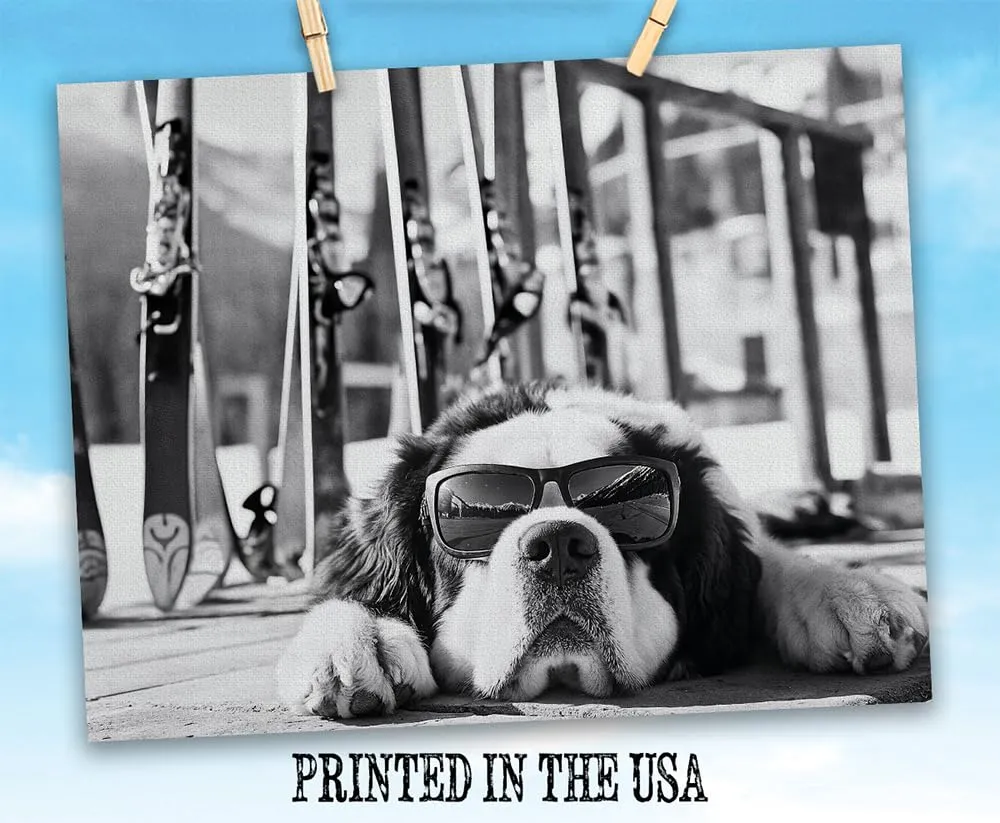It Was a Long Run St. Bernard with Sunglasses Wall Art Ski Photo 16x20 Stretched Canvas Poster – Black & White Dog Ski Resort Print, Winter Sports Skiing Photography, Alpine Vacation Lodge Pet Décor