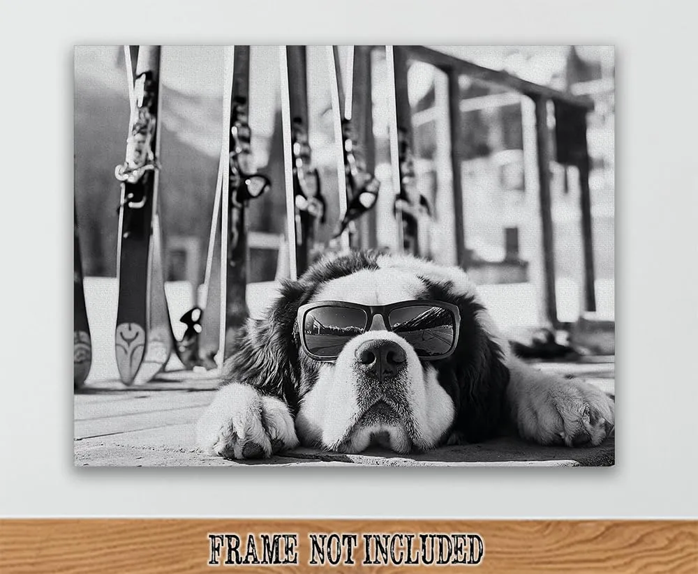 It Was a Long Run St. Bernard with Sunglasses Wall Art Ski Photo 16x20 Stretched Canvas Poster – Black & White Dog Ski Resort Print, Winter Sports Skiing Photography, Alpine Vacation Lodge Pet Décor