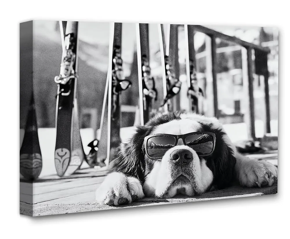 It Was a Long Run St. Bernard with Sunglasses Wall Art Ski Photo 16x20 Stretched Canvas Poster – Black & White Dog Ski Resort Print, Winter Sports Skiing Photography, Alpine Vacation Lodge Pet Décor