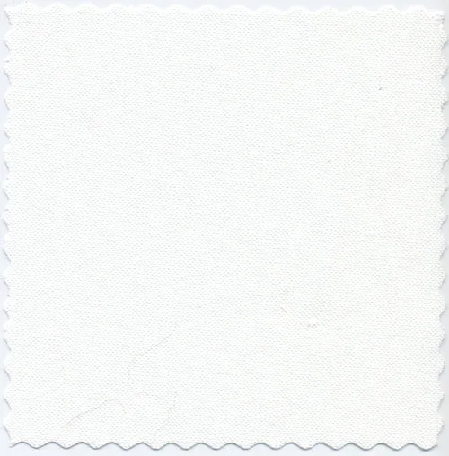 Ivory Two-Ply Classic 100% Pima Cotton Oxford