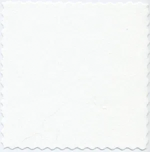 Ivory Two-Ply Classic 100% Pima Cotton Oxford