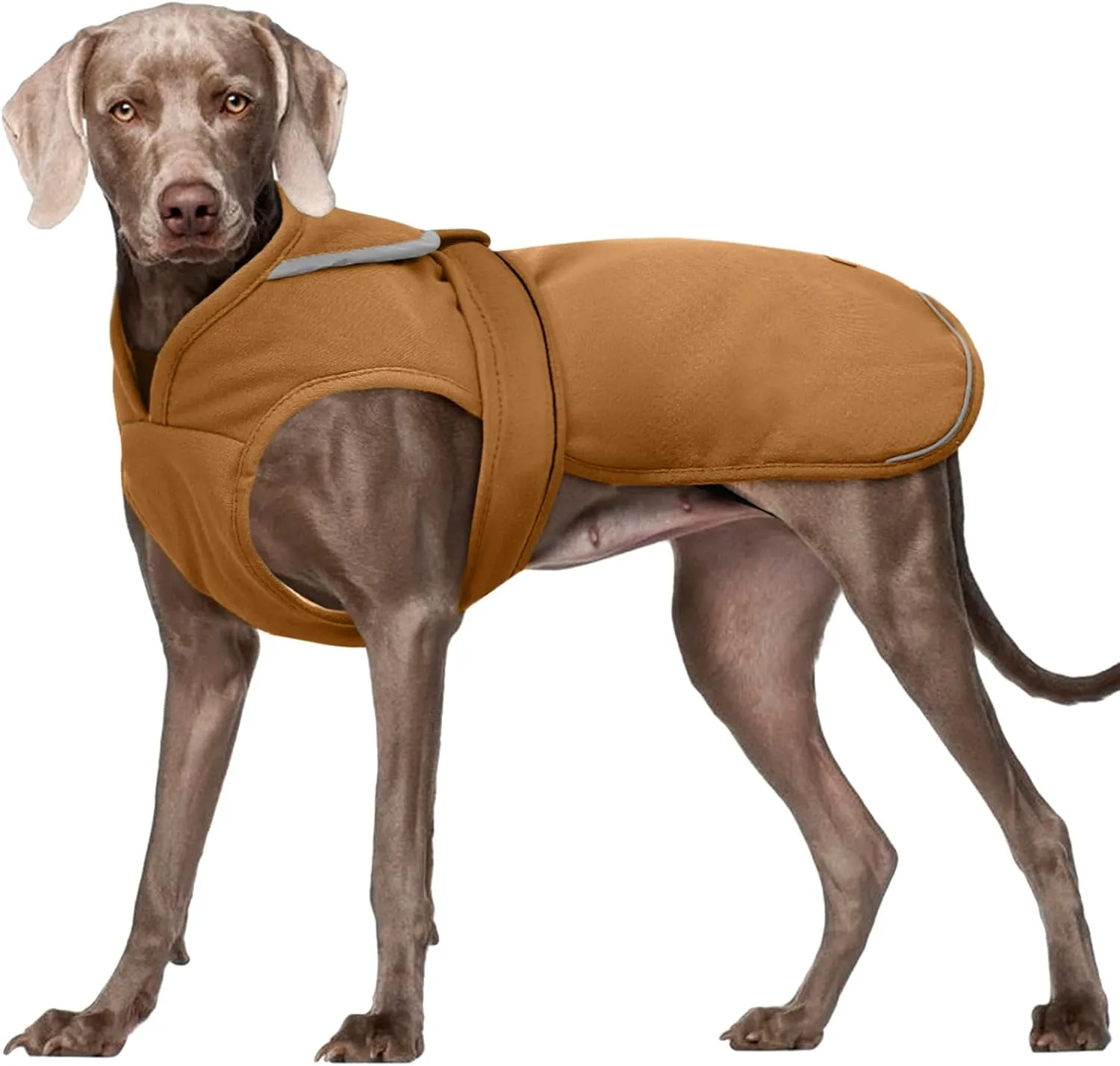Kuoser Canvas Dog Coat - Warm Reflective Fleece for Small to Large Dogs, Brown