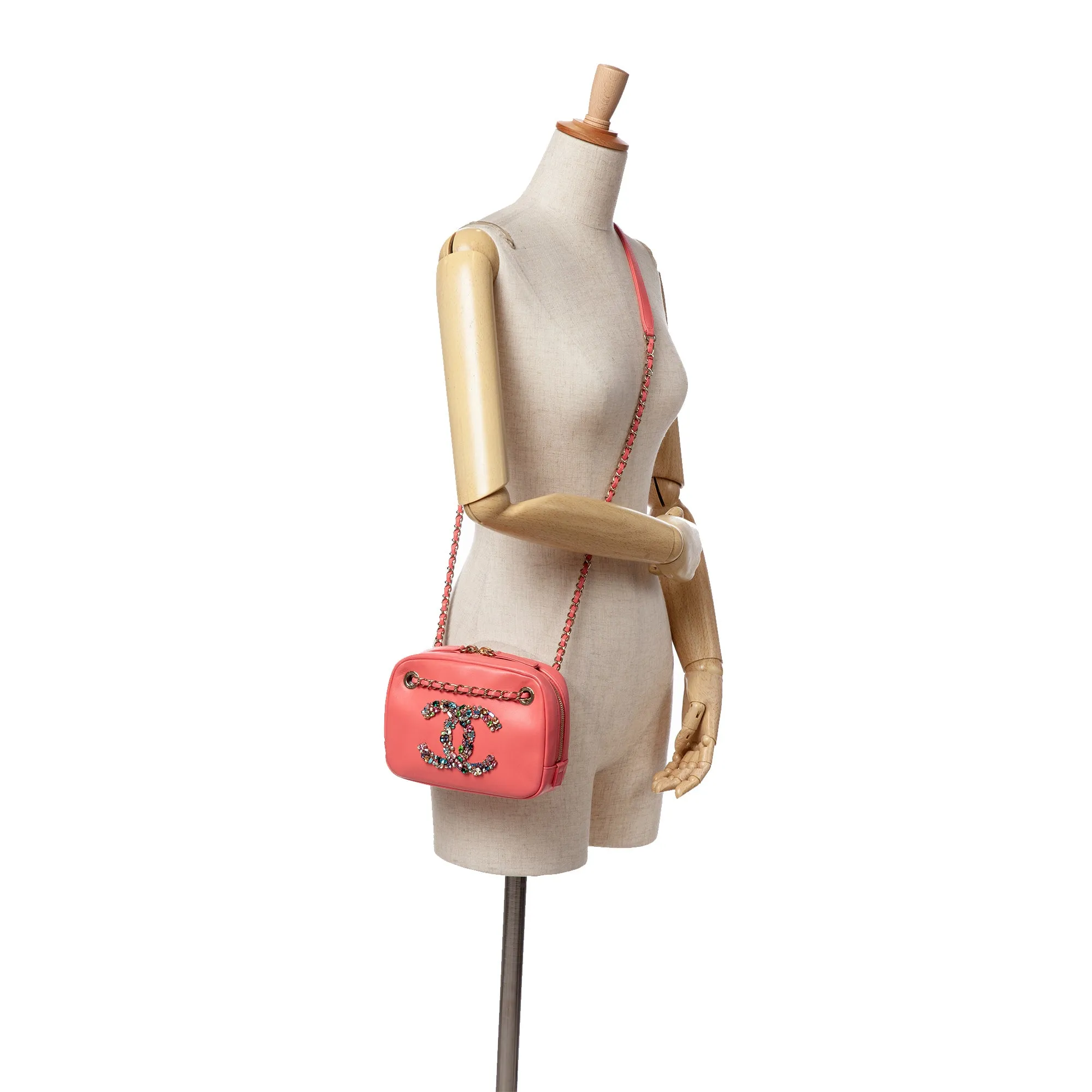 Lambskin Giant Crystal CC Camera Bag