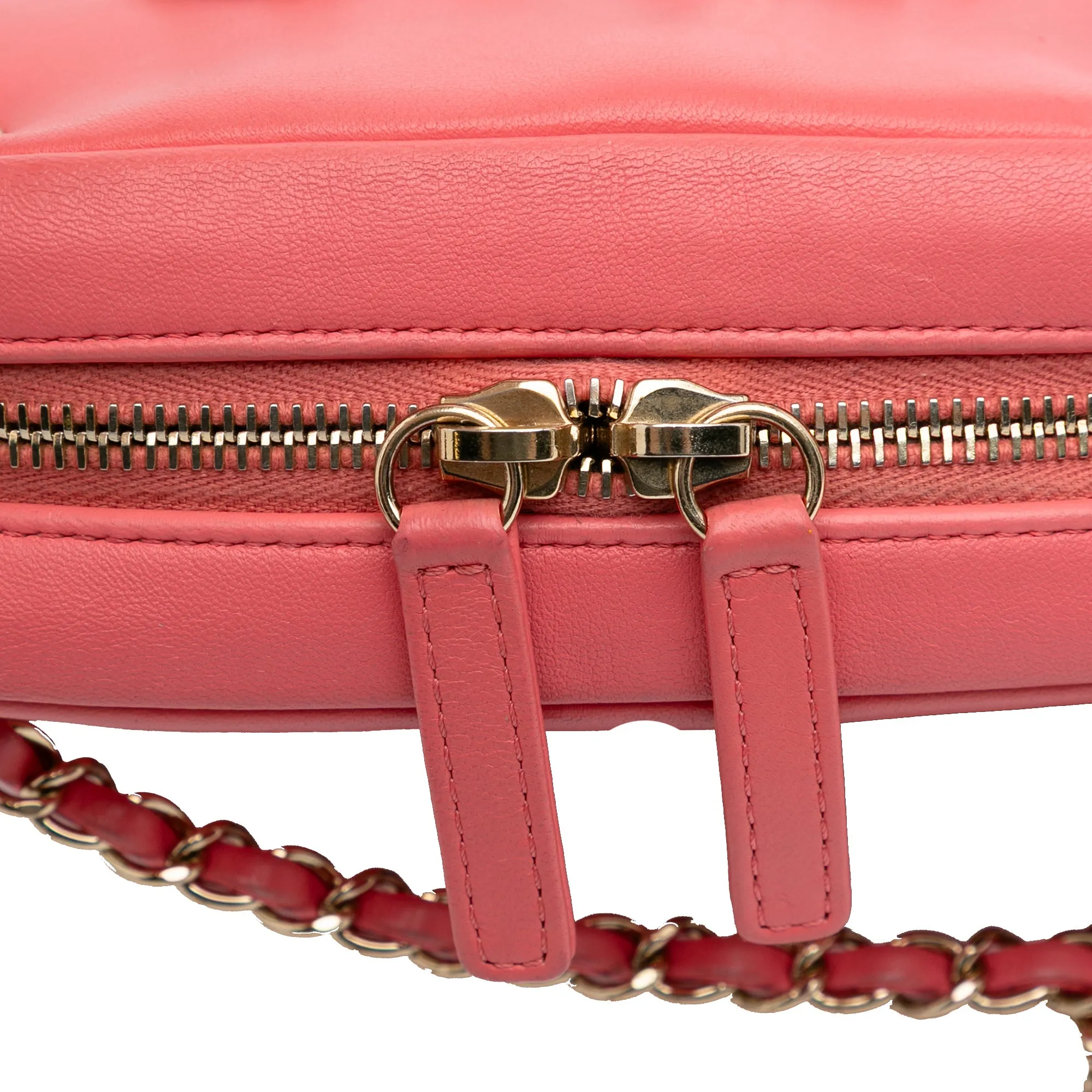 Lambskin Giant Crystal CC Camera Bag