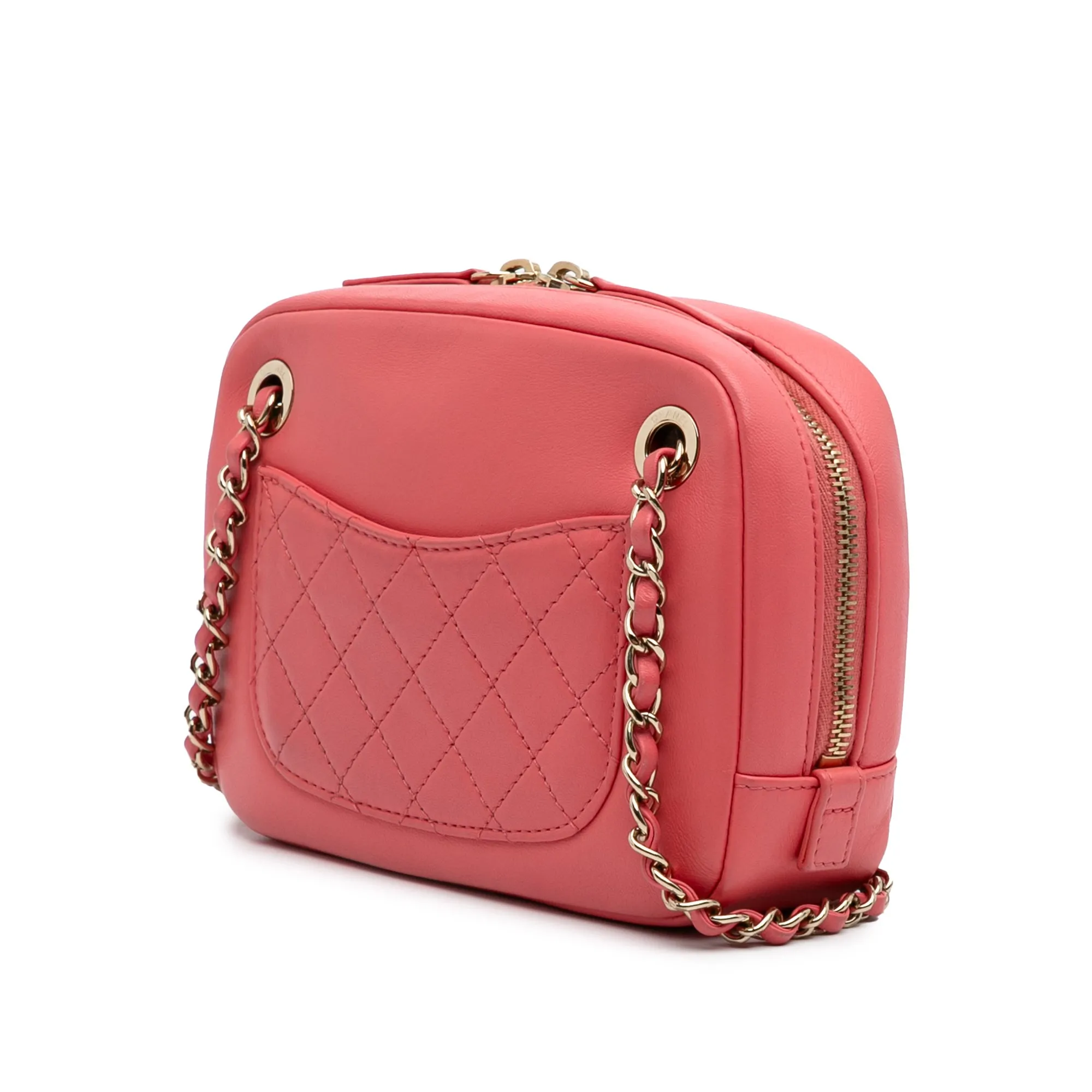 Lambskin Giant Crystal CC Camera Bag