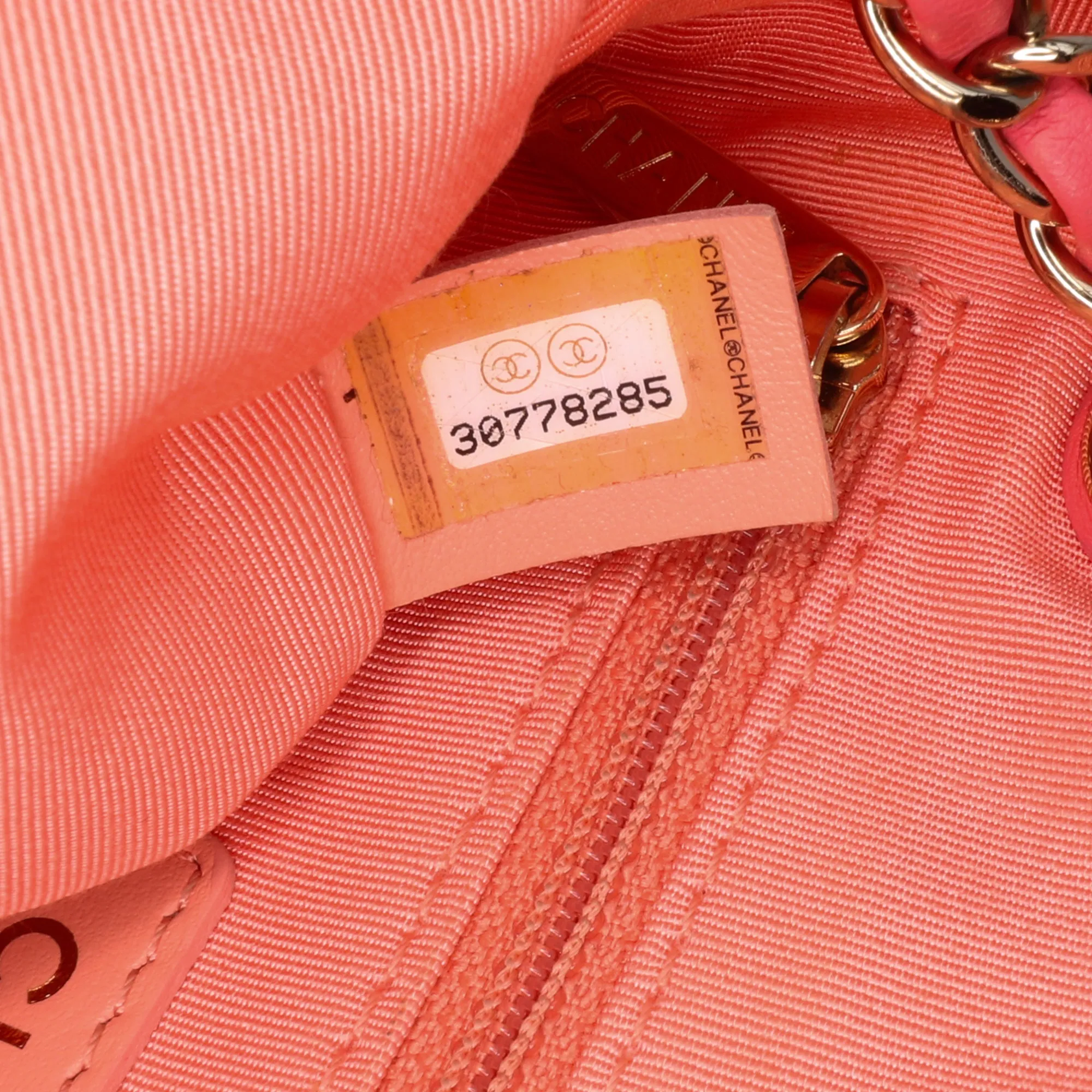 Lambskin Giant Crystal CC Camera Bag
