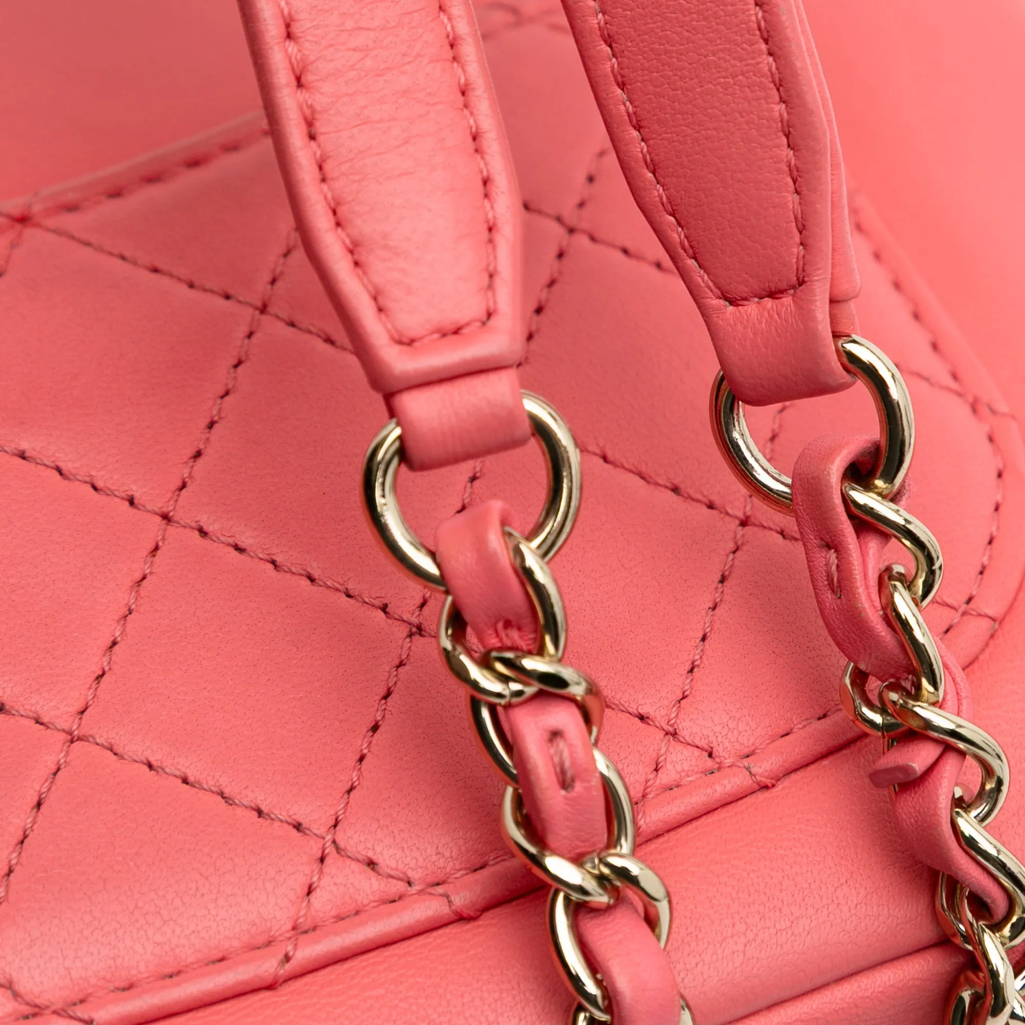 Lambskin Giant Crystal CC Camera Bag