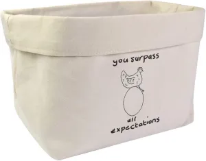 Large 'You Surpass All Expectations ' Canvas Organiser/Storage Bag (OR00029465)