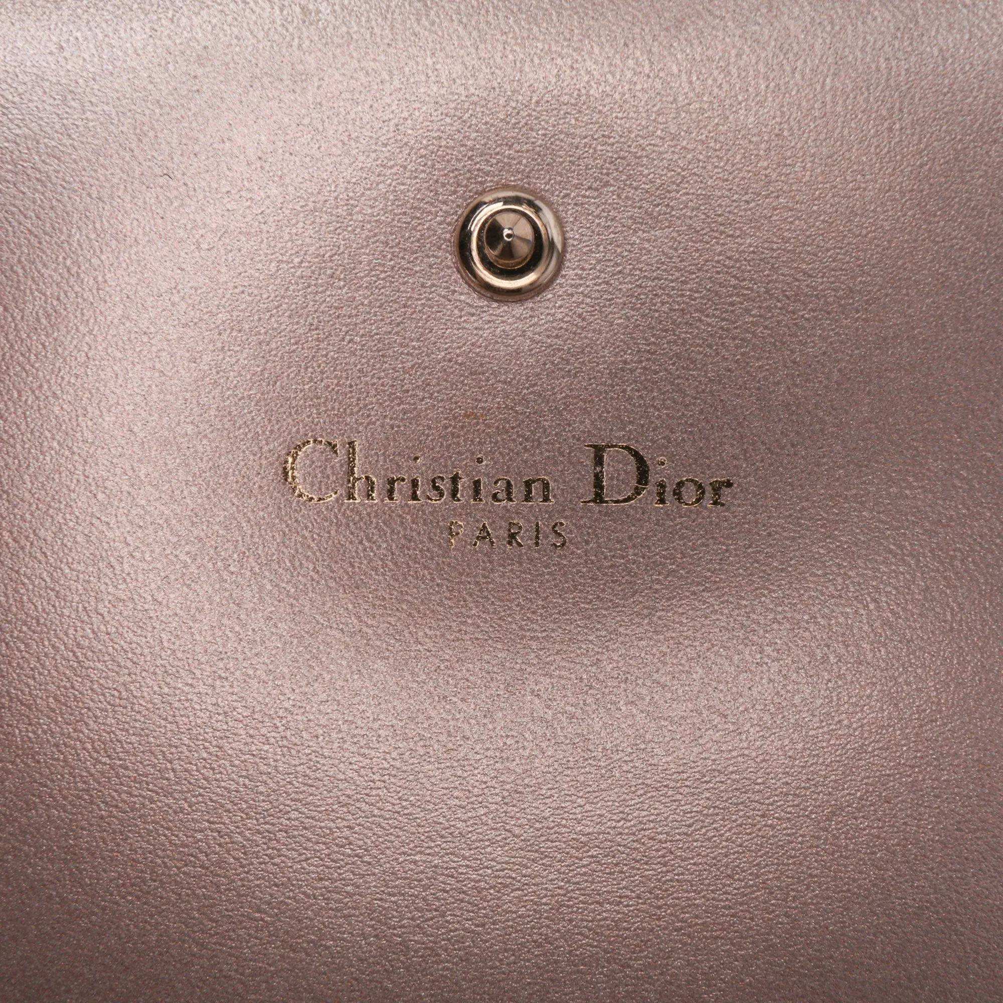 Metallic Grained Calfskin Diorama Wallet on Chain