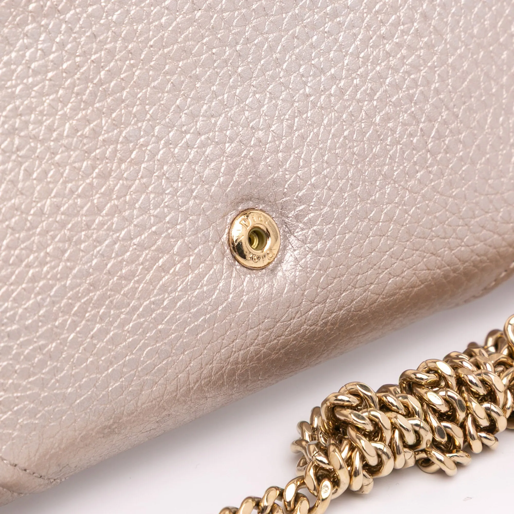 Metallic Grained Calfskin Diorama Wallet on Chain