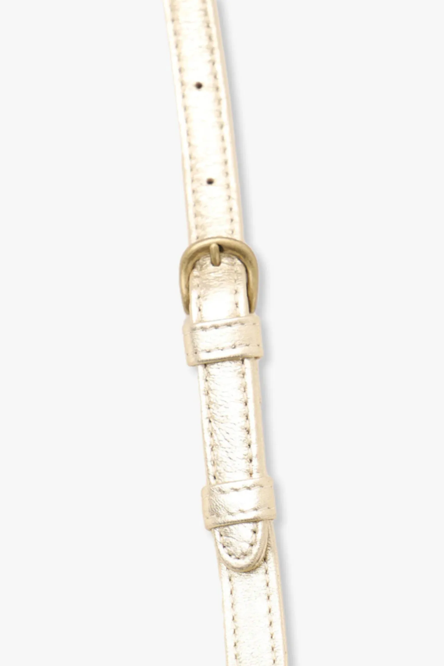 Miniature Chase Crossbody