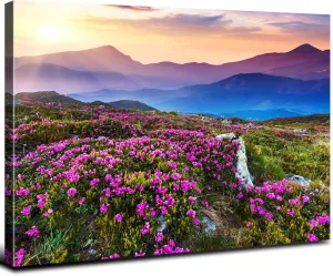 Nature Mountain Canvas Wall Art National Park Landscape Photography Print Sunrise Scenery Home Decorations for Bedroom Kitchen Purple Wildflower Prairie Painting Pictures Framed Poster Artwork 20x30”