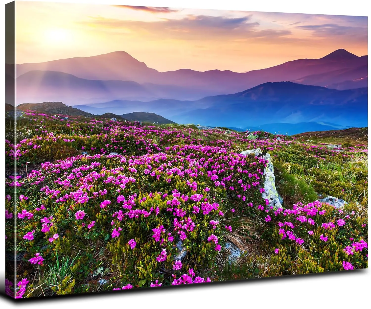 Nature Mountain Canvas Wall Art National Park Landscape Photography Print Sunrise Scenery Home Decorations for Bedroom Kitchen Purple Wildflower Prairie Painting Pictures Framed Poster Artwork 20x30”