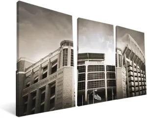 Paulson Designs Texas 16x36 Memorial Stadium Canvas