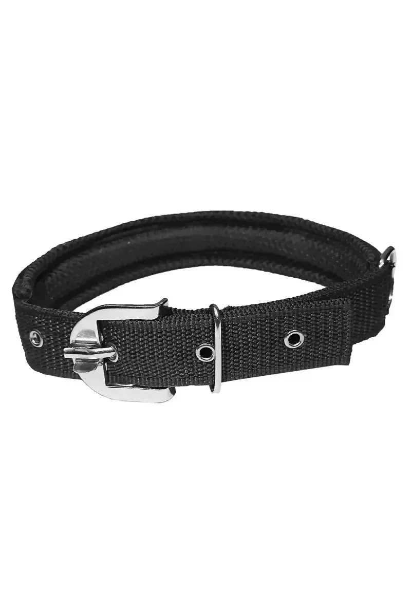 Petshop7 Nylon Messh Dog Collar & Leash (Black , Medium)