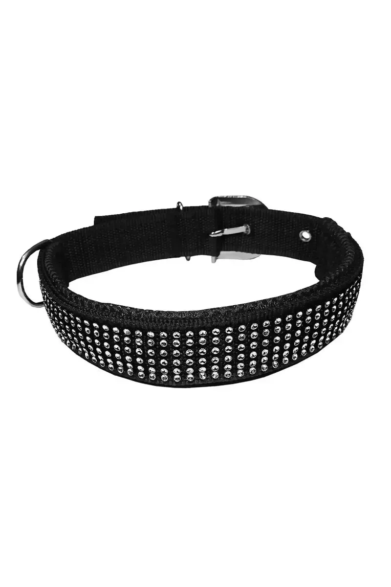 Petshop7 Nylon Messh Dog Collar & Leash (Black , Medium)