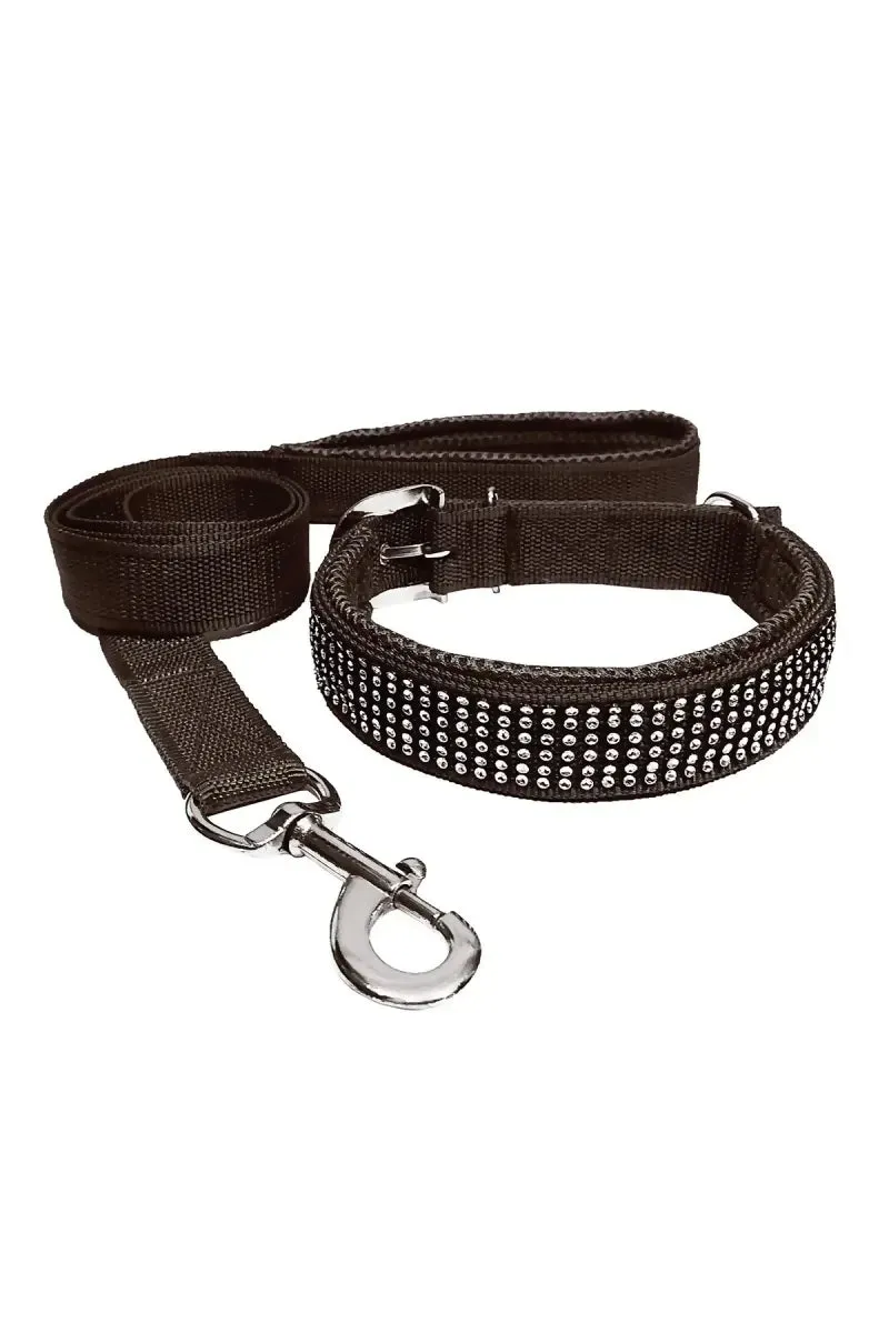 Petshop7 Nylon Messh Dog Collar & Leash (Black , Medium)