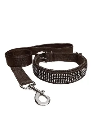 Petshop7 Nylon Messh Dog Collar & Leash (Black , Medium)