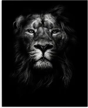 Stupell Industries King of The Jungle Lion in Shadows Black and White Photography Canvas Wall Art, 36x48, Multicolor