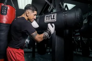 Title Uppercut Heavybag