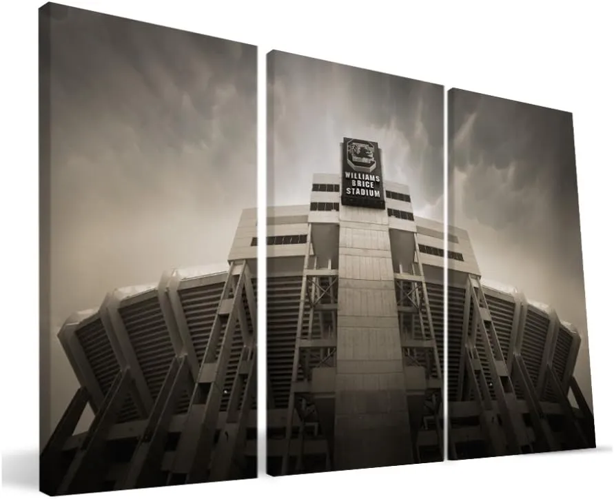 USC 16x36 Williams-Brice Stadium Canvas
